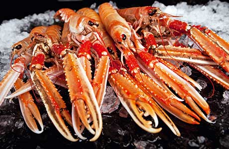The standard of fresh seafood in Scotland is second to none, say restaurateurs and suppliers.