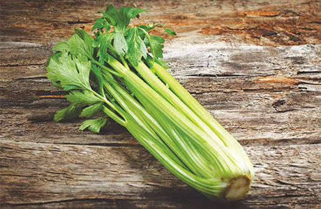 • Celery is one of the 14 ingredients which must be listed under new EU rules.