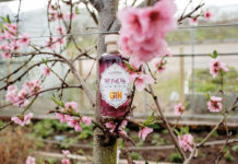 Old_Curiosity_Distillery_Hot-Pink-Tulip_Gin