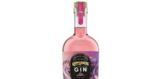 Kopparberg-Gin-Bottle-Mixed-Fruit