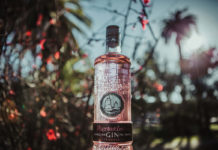Gin-Premium-Puerto-de-Indias-Strawberry-LR