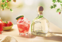 Watermelon-Punch-patron-cocktail