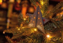 Franklin & Sons Christmas Stars