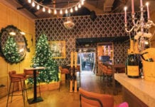 the-adamson-ski-lodge