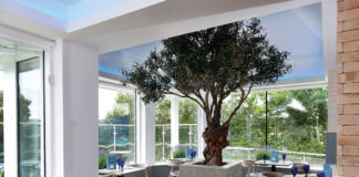 a restaurant interior with blue and white interior and a tree in the middle of the room