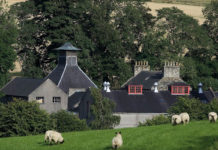 A view of glendornach whiskey distillery witha feild of sheep in the foreground