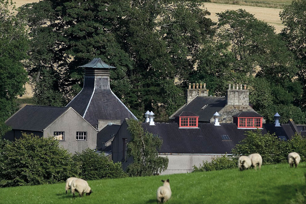 A view of glendornach whiskey distillery witha feild of sheep in the foreground