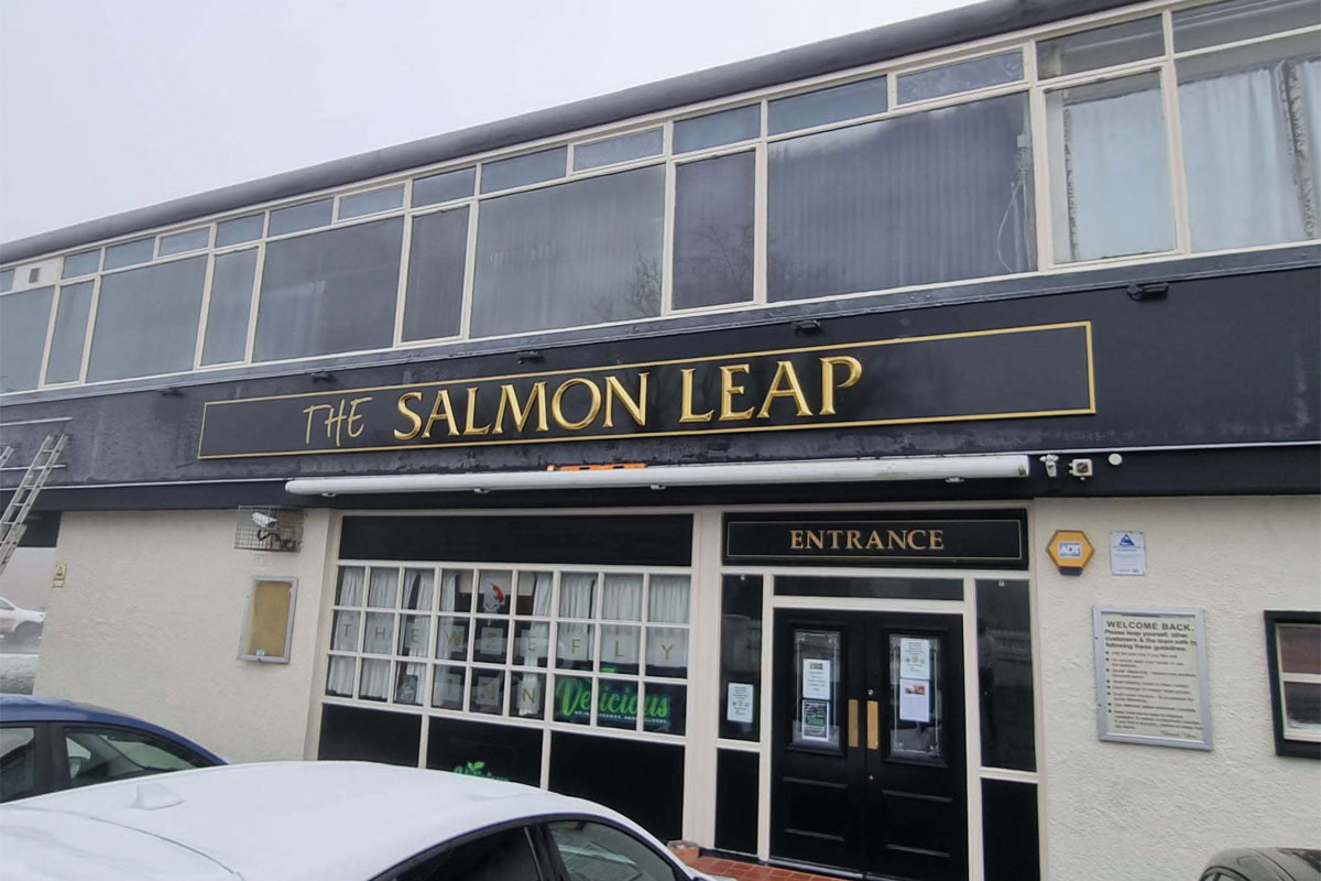 The Salmon Leap