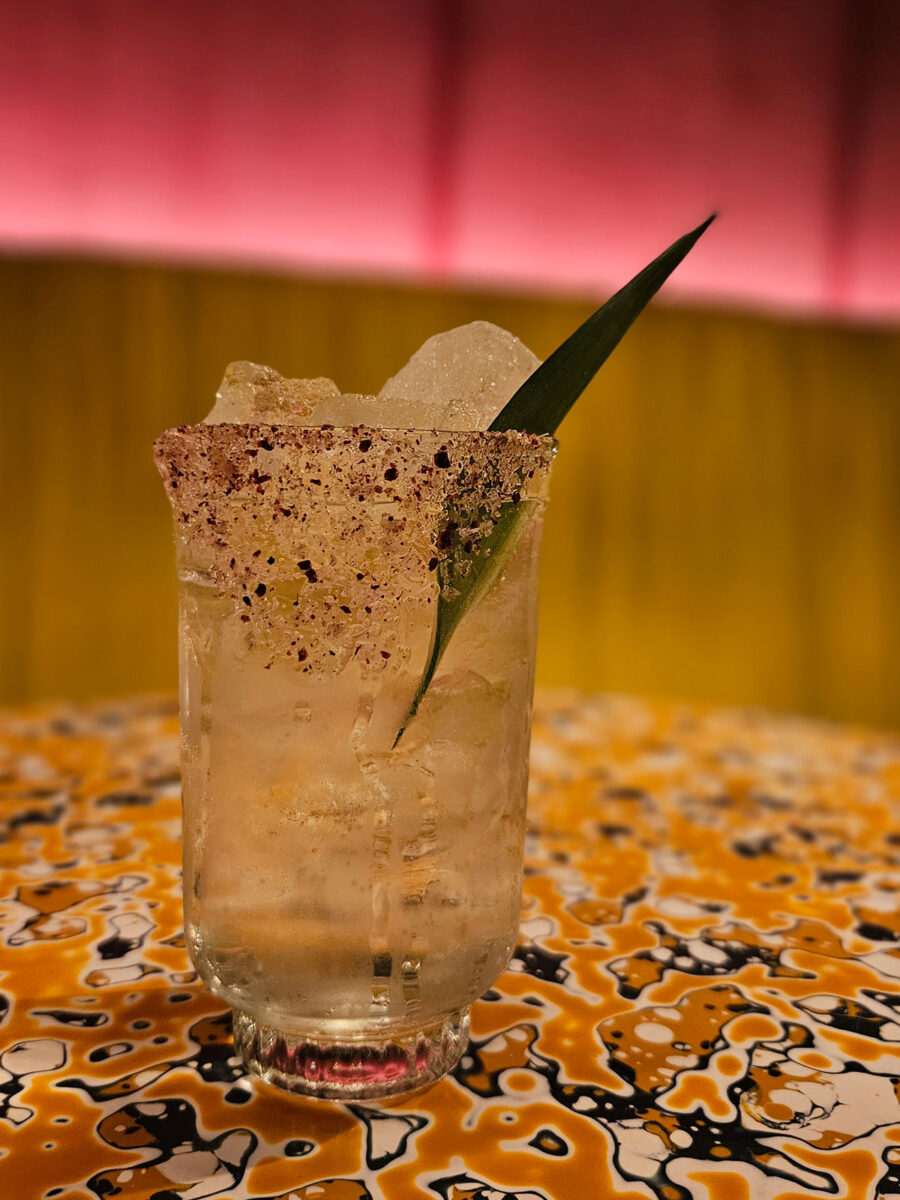 A clear cocktail with ice and vegetation