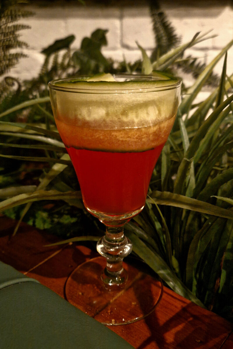 A red drink in an old fashioned glass surrounded by greenery