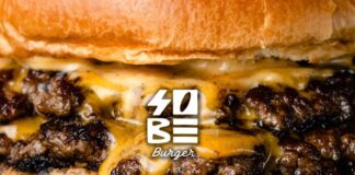 a close-up of a juicy looking cheese burger