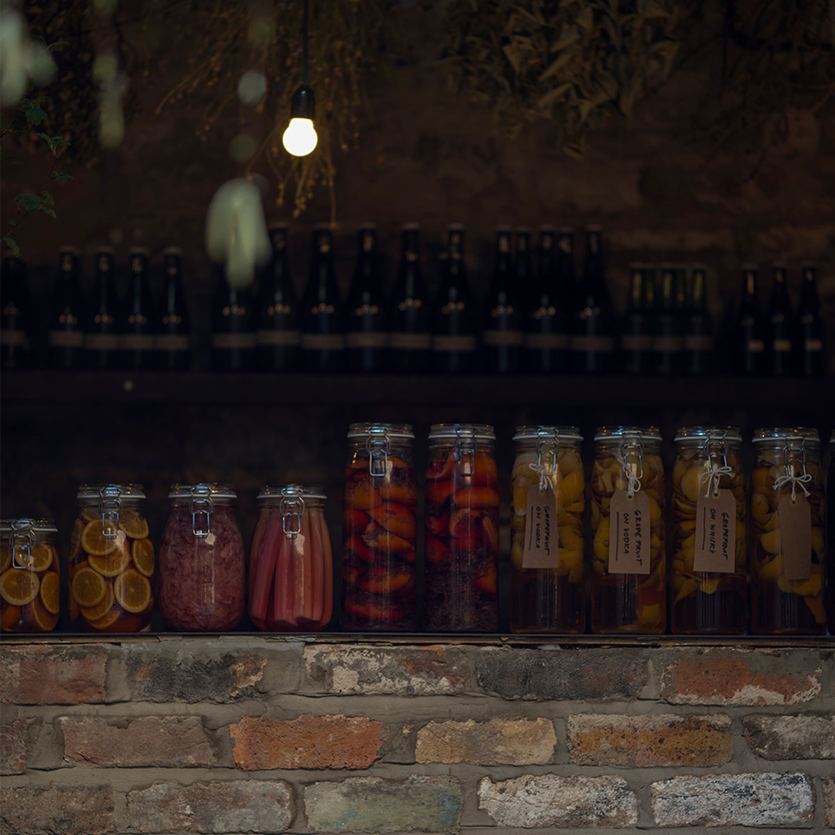 a range of preserved and fermented ingredients in jars