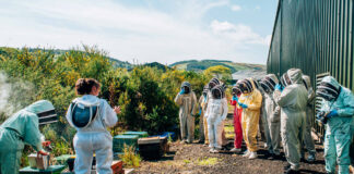 Not your normal cocktail party... guests gather round the beehives at Aberargie Distillery
