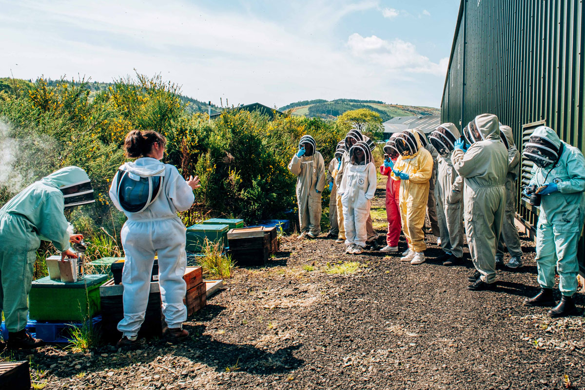 Not your normal cocktail party... guests gather round the beehives at Aberargie Distillery