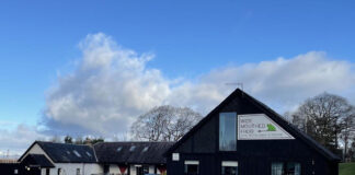 Catch a Wide Mouthed Frog North of Oban