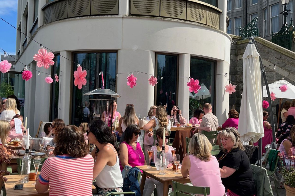 Sugarbird in the Gardens