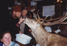 Hostel celebrates 95 years of Highland hospitality and wildlife wildlife