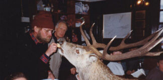 wildlife