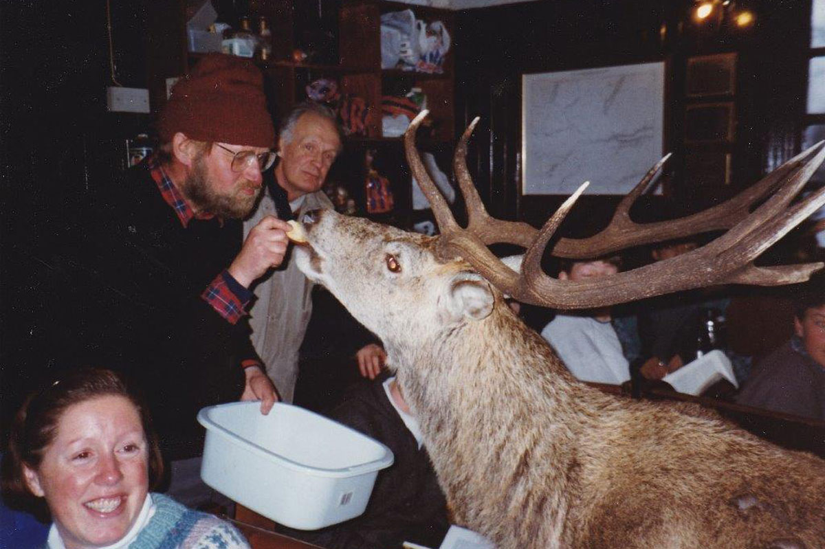 wildlife