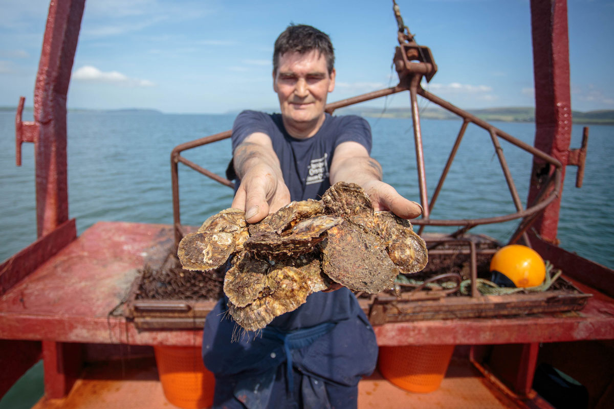 Stranraer Oyster Festival