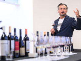 Alentejo aims to be the sustainable survivor of Old World wine Alentejo