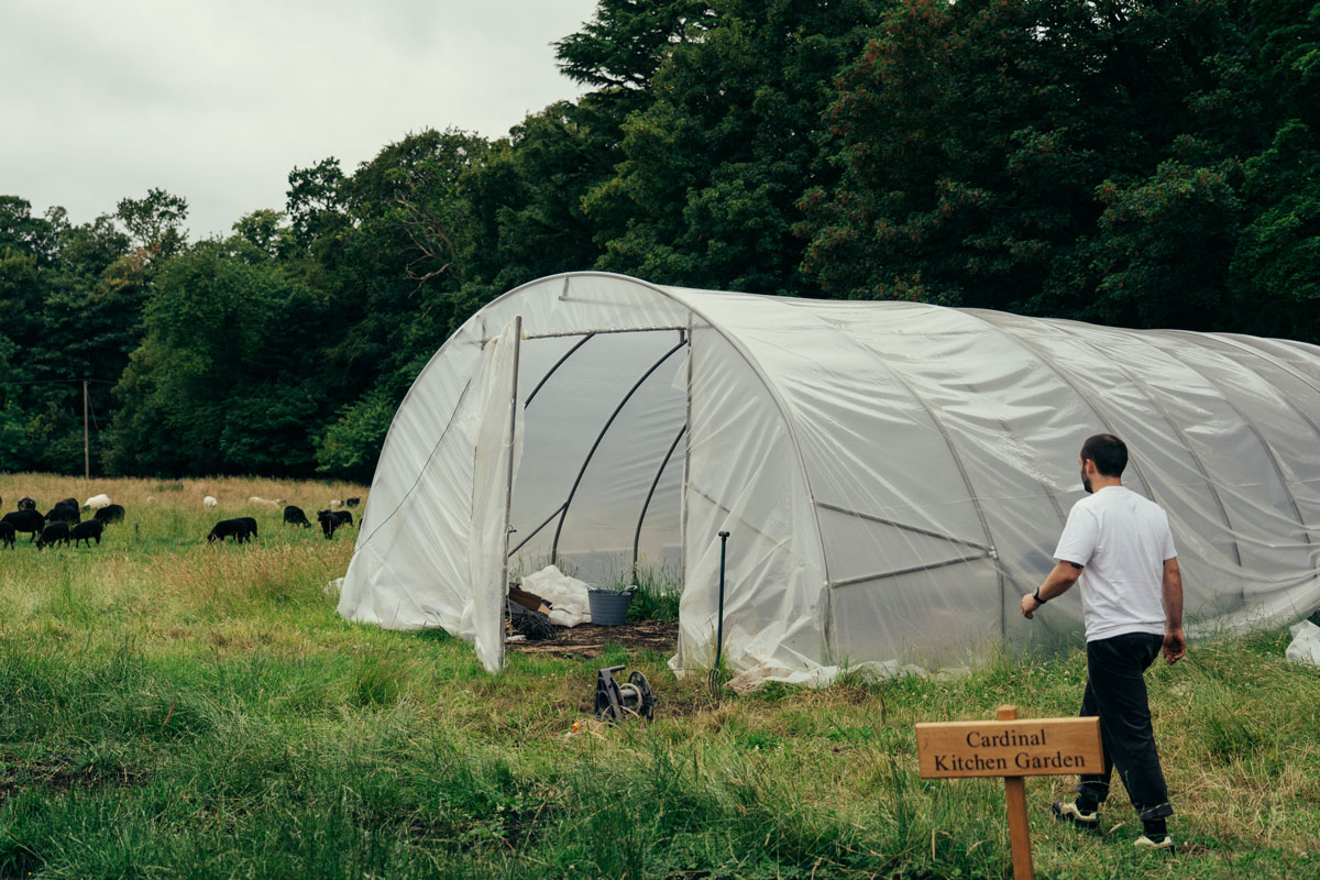 Cardinal Kitchen Garden