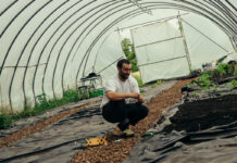 Cardinal Kitchen Garden
