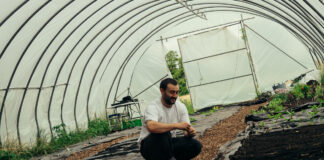 Cardinal Kitchen Garden