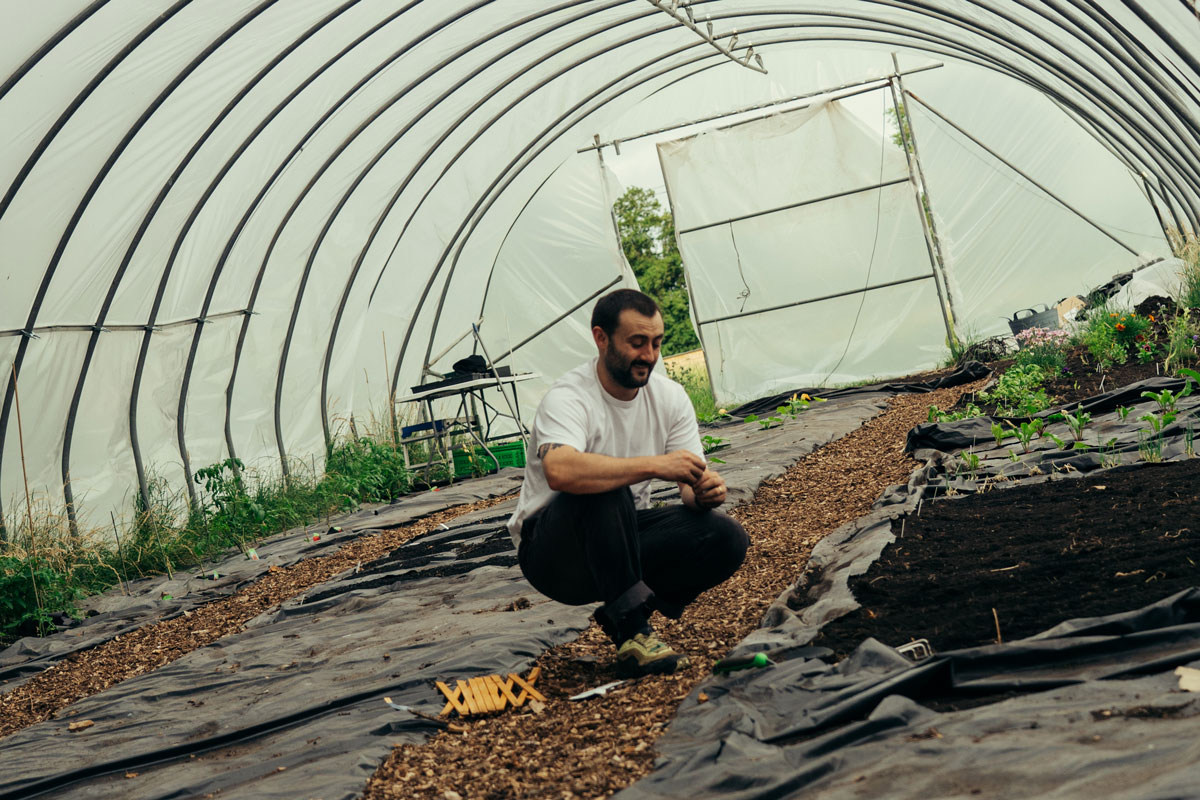 Cardinal Kitchen Garden