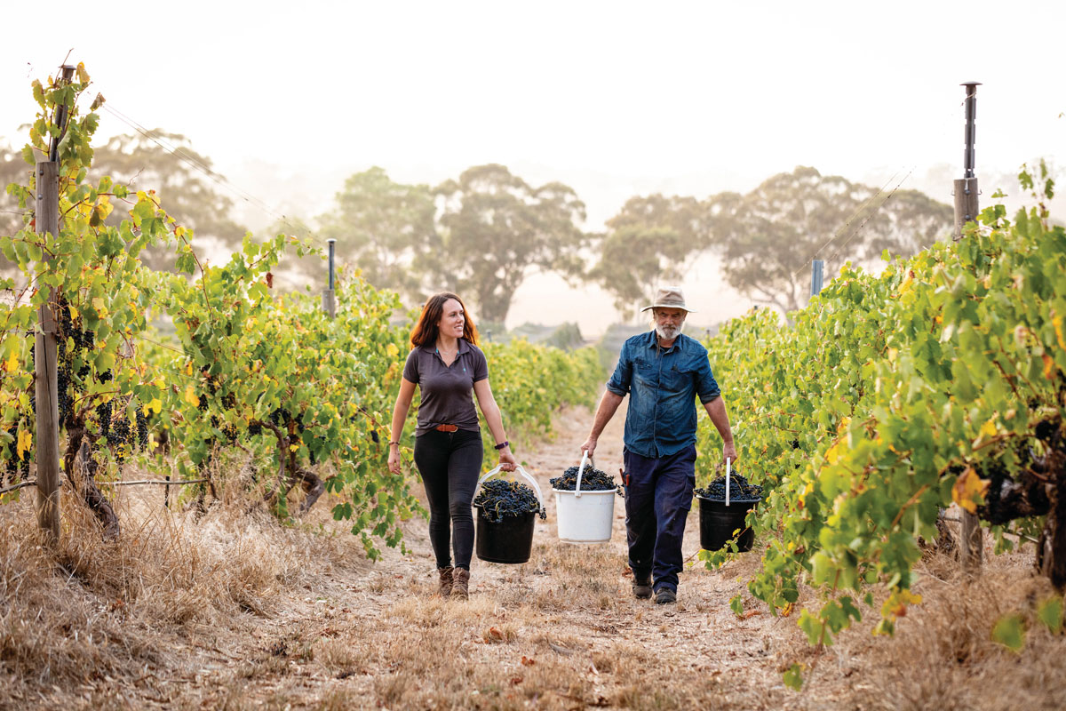 Wine Australia