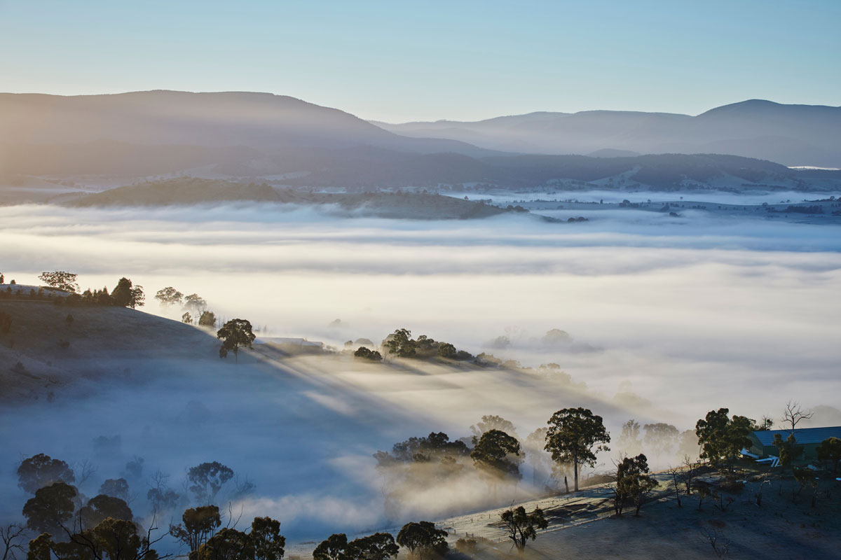 Wine Australia