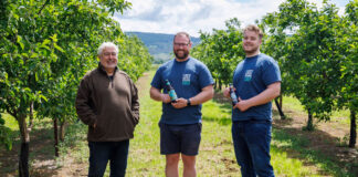 Lost Orchards