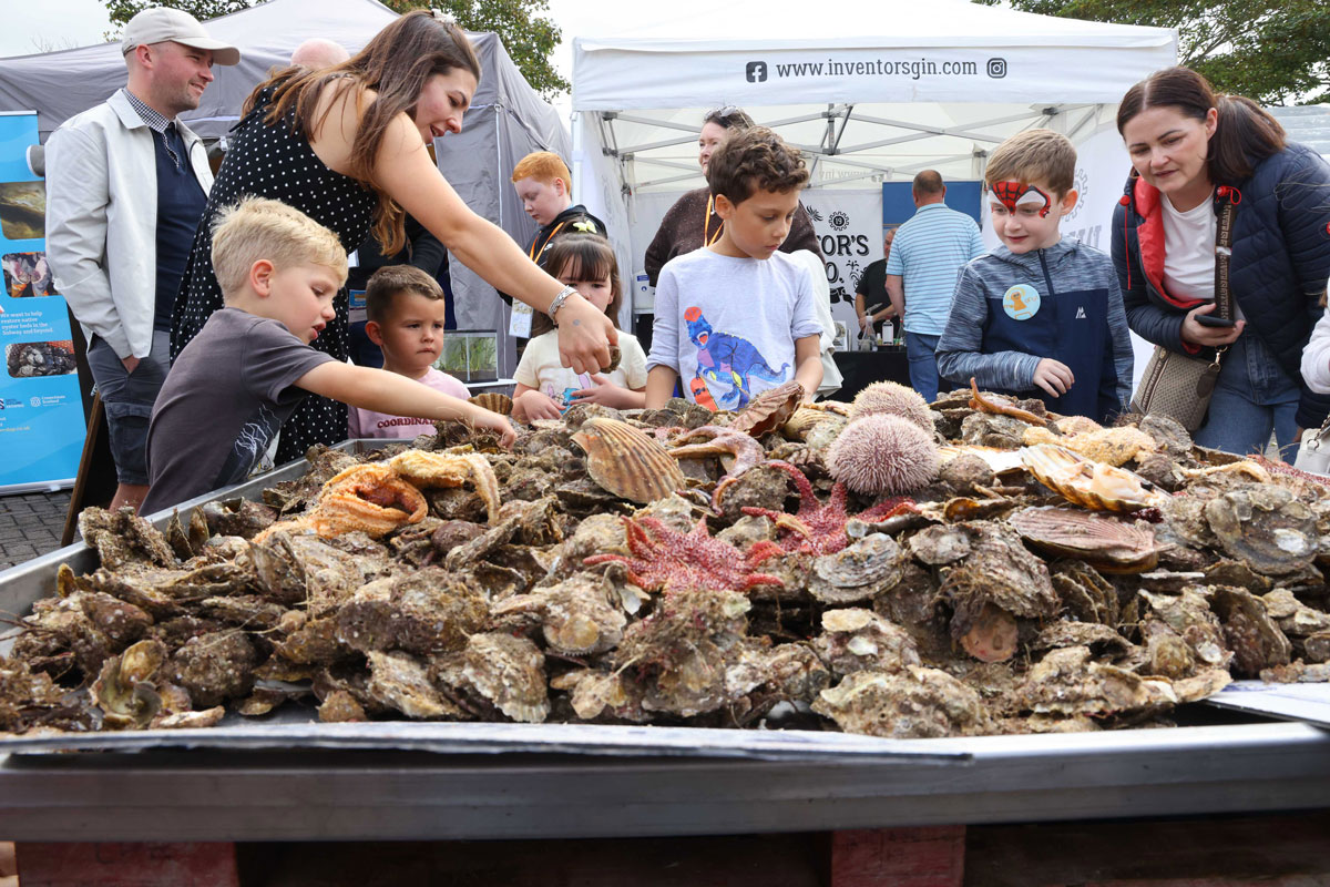 Stranraer Oyster Festival