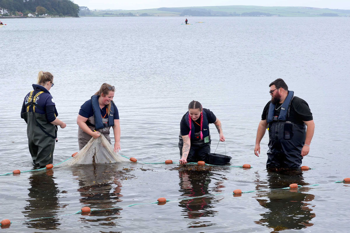 Stranraer Oyster Festival